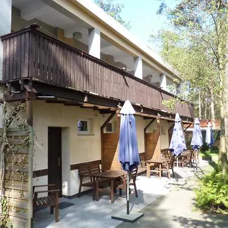 אתר נופש Osrodek Wypoczynkowy W Sosnowym Lesie *